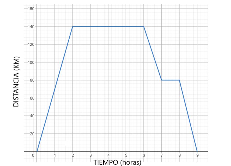 Grafica11