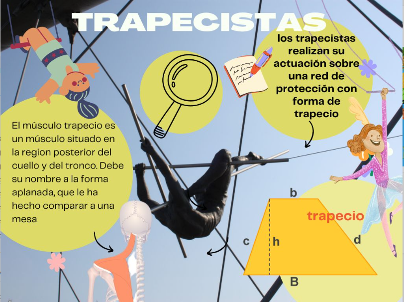 trapecios