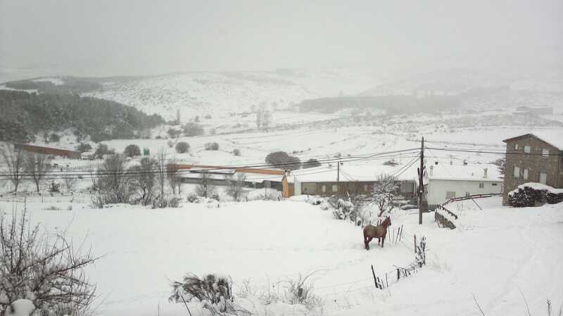 Hoyos del Espino