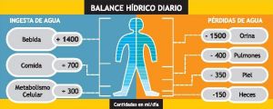 Balance hídrico diario